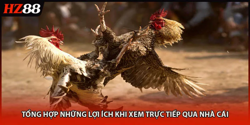 Tổng hợp những lợi ích khi xem trực tiếp qua nhà cái